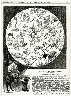 Toby: Cartoon, Essence of Parliament (MPs)
