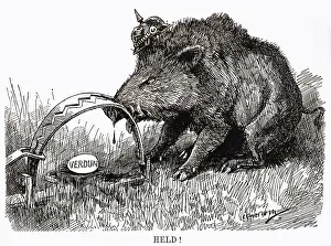 Bloodied: Cartoon, German Boar held at Verdun, WW1