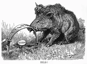 Personified: Cartoon, German Boar held at Verdun, WW1