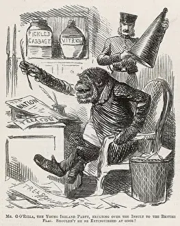 Insult: Cartoon, A Great Time for Ireland