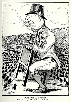 Beetles: Cartoon, John Redmond, Irish Home Rule