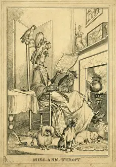 Parrots: Cartoon, Miss-Ann-Thropy