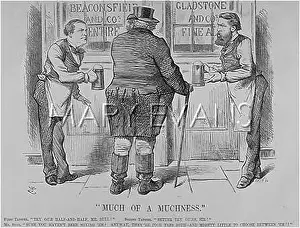 Tories: Cartoon, Much of a Muchness