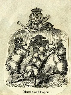 Scotsmen: Cartoon, Mutton and Capers