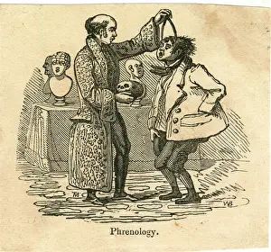 Measure: Cartoon, Phrenology