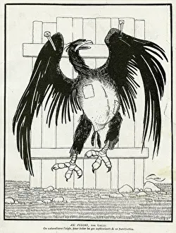 Nails: Cartoon, On the Pillory, WW1