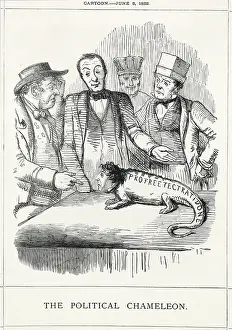 Puzzled: Cartoon, The Political Chameleon