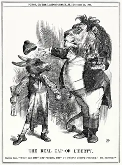 Foolish: Cartoon, The Real Cap of Liberty