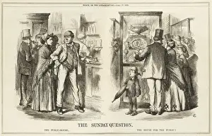 Educated: Cartoon, The Sunday Question