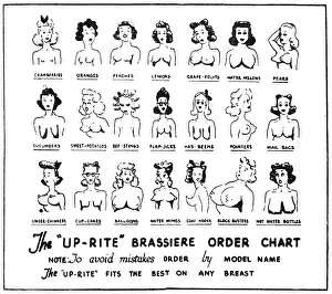 Suggestive: Cartoon, The Up-Rite Brassiere Order Chart