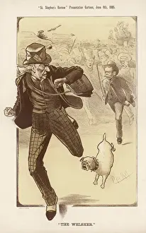 Electorate: Cartoon, The Welsher (Gladstone)