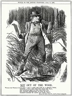 Troubles: Cartoon, Not Out of the Wood (Gladstone)