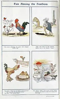 Plots: Cartoons in colour by G H Dodd, Fun Among Feathers