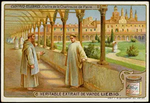Pavia: CARTOSA, PAVIA