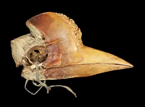 Artefact: Carved Hornbill Skull