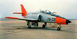 Fuerza: CASA C-101EB Aviojet E.25-09 - 79-09