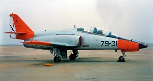 Fuerza: CASA C-101EB Aviojet E.25-31 / 79-31