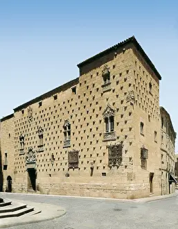 Plateresque: Casa de las Conchas (House of Shells). SPAIN