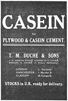 Casein: Casein Plywood & Casein Cement