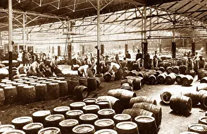 Cask: Cask filling in a brewery