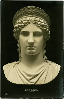 Idealized: Cast copy of the Juno Ludovisi