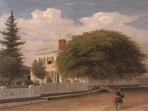 Fitz: Castine Homestead