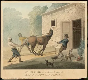 Poker: CASTING/FIRING A HORSE