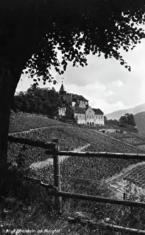 Vineyards: Castle in Baden, 1933