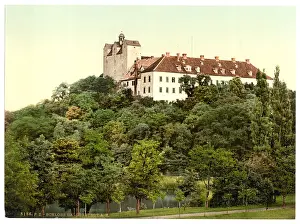 Hartz: The castle, Ballenstedt, Hartz, Germany