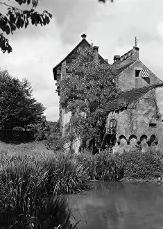 Reeds: Castle Beuggen in the Upper Rhine Valley, 1930s