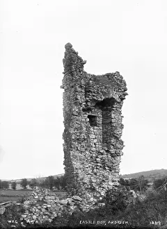 Stump: Castle Boy, Ardkeen