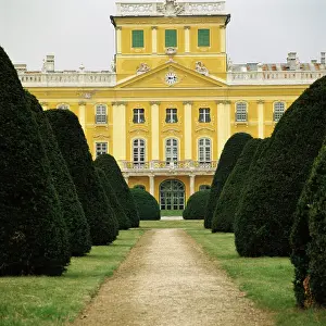 Yews: Castle Esterhaza