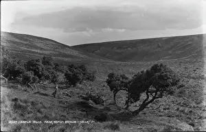 Tranquil: Castle Hills Near Egton Bridge
