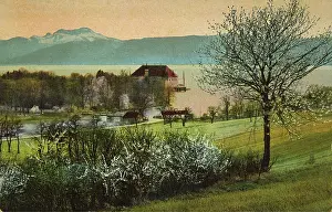 Kammer: Castle Kammer at the Attersee. View of the castle and