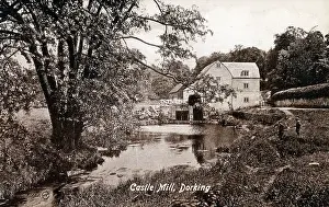 The Roseries Collection: Castle Mill, Dorking, Surrey