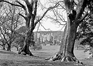 Castlewellan: Castlewellan Castle
