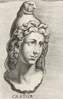 Castor: Castor, one of the Dioscuri in classical mythology