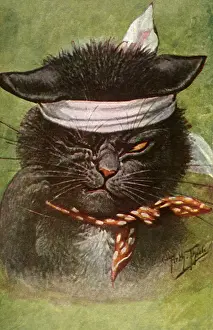 Sustained: Casualty Cat