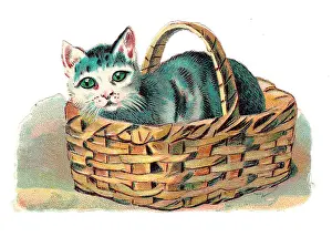 Cat in a basket on a Victorian scrap