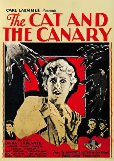 Plante: The Cat and the Canary a 1927 American silent