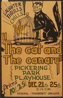 Birdcage: The cat and the canary