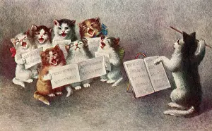 Wand: Cat Choir