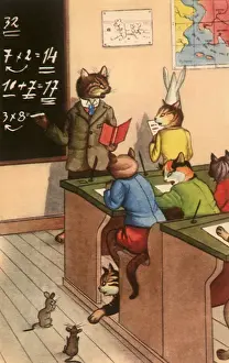 Dunce: Cat Classroom