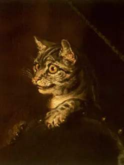 1742: Cat clings to Back of an Armchair, by Hogarth
