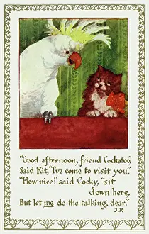 Govey: Cat & cockatoo