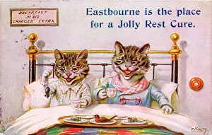 Nightshirt: Cat couple in bed on a greetings postcard