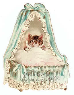 Cradles: Cat in a cradle on a cutout Christmas card