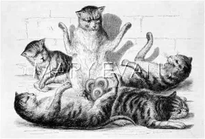 Entangled: CAT CROWN 1683
