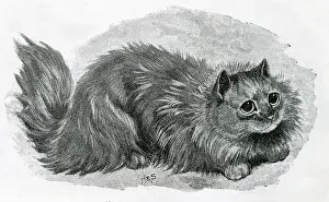 Bounce: The Cat Show at the Crystal Palace by Louis Wain