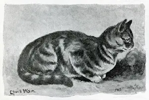 Herrings: The Cat Show at the Crystal Palace by Louis Wain
